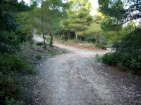 /album/atractivos-turisticos/umbria-jpg/